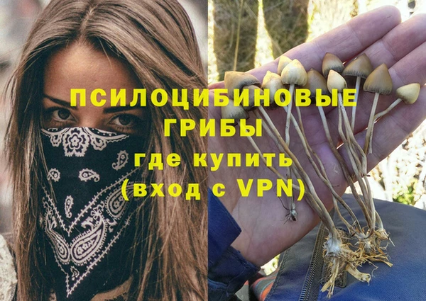 метадон Аркадак