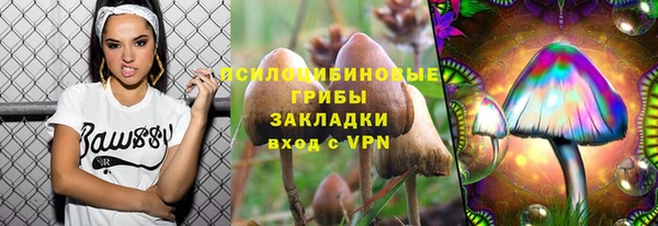 метадон Аркадак